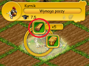 pasza.png