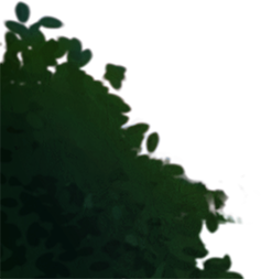 peacock_layer_bg_left-bush_overlap.png