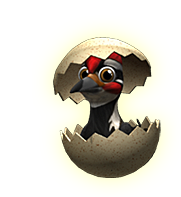 pet_woodpecker_baby.png