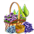 picnicquestaugl2016_basket2_small.png