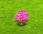 pinktrumpettree_upgrade_0.gif