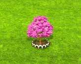 pinktrumpettree_upgrade_1.gif
