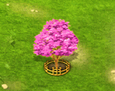 pinktrumpettree_upgrade_2.gif