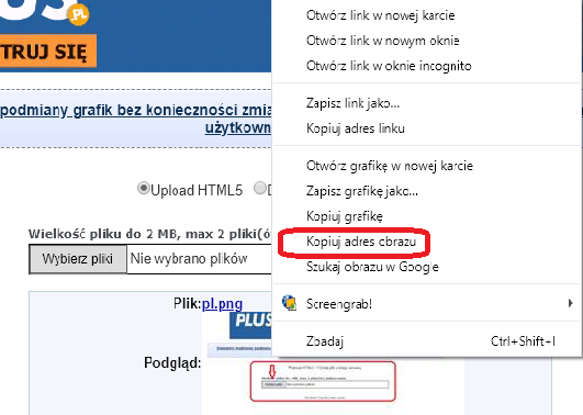 pl3.png