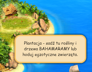 plantacja.png