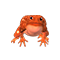 Pomarańczowa ropucha.png