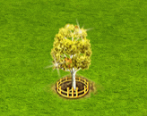populustremuloides_upgrade_2.gif