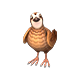 quail_big.png