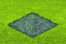 r1.gif
