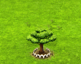 raintree_upgrade_1.gif
