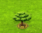 raintree_upgrade_2.gif