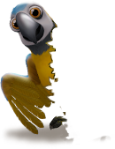 reward_06_parrot.png