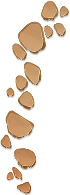 rocks.png