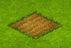 roslina gif.gif