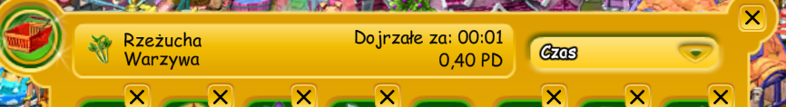 rz.png