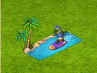 Salto i surfing.png