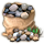 schoolgardennov2016_dropitem_gravel_icon_small.png