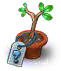 secretseedling13.png