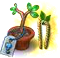 secretseedling52_bogoria.png