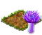 seedsearchaug2018thistlefungus.png