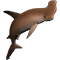 shark_stable_03_red_icon.png
