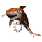 shark_workshop_02_orange_icon.png