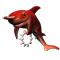 shark_workshop_03_red_icon.png