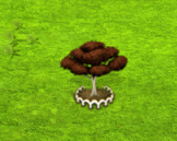 summerchocolate_upgrade_1.gif