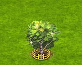 sweetbirch_upgrade_2.gif