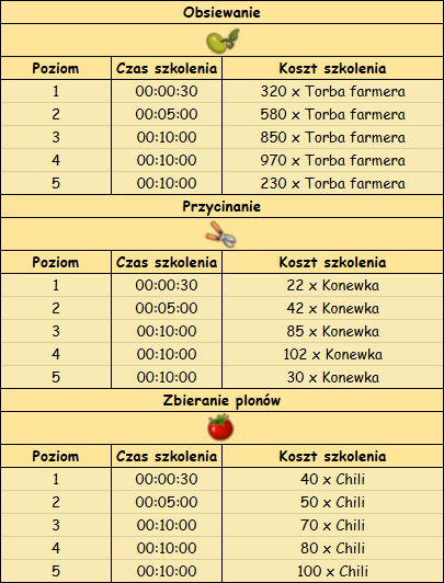 T_szkolenia.png