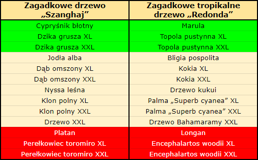 T_zagadkowe_drzewa.png