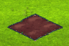 tahitiangardenia.gif