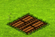 threedoorsmay2025filmrollplant.gif