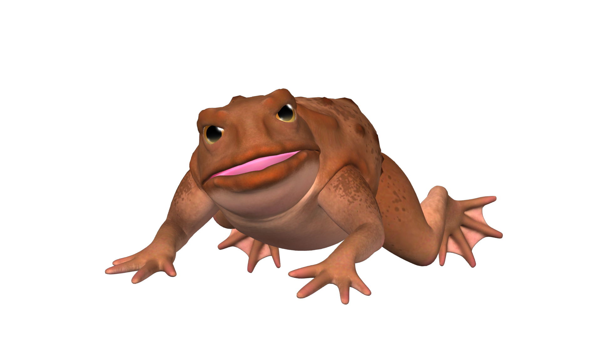 toad_stable_00_regular_MR1.png