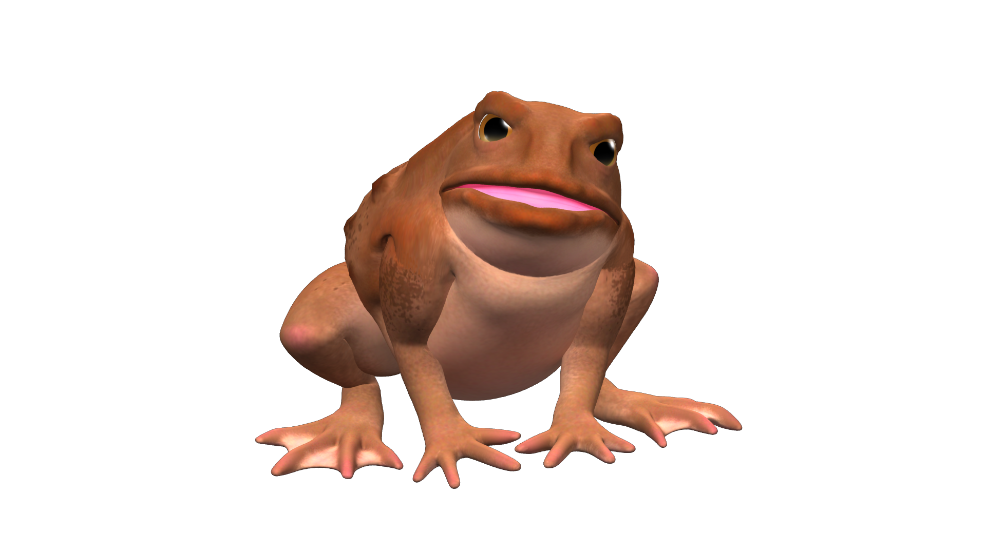 toad_stable_00_regular_MR2.png