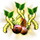 treeseedlingaugust2017_questicon_small.png