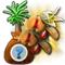 treeseedlingjune2017_bahamarama_nutmeg-plus_icon_big.png