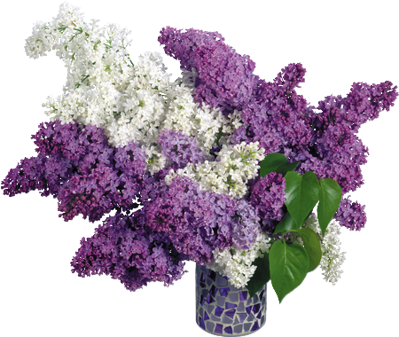 upload_2017-5-4_13-9-35.png