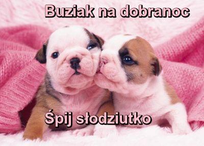 upload_2017-5-4_21-48-22.jpeg