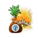 Zagadkowe tropikalne drzewo „Izola”.png