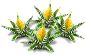 zebra_plant_layer2.png