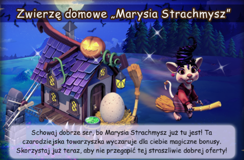 zwierzę domowe-news.png